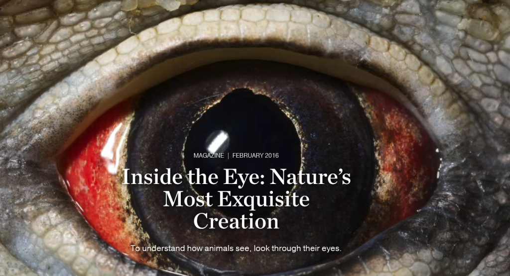 Inside_the_Eye_Nature’s_Most_Exquisite_Creation_--_National_Geographic_Magazine_-_2016-02-16_21.48.38